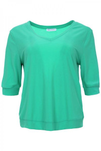 Basis_top_v_hals_1